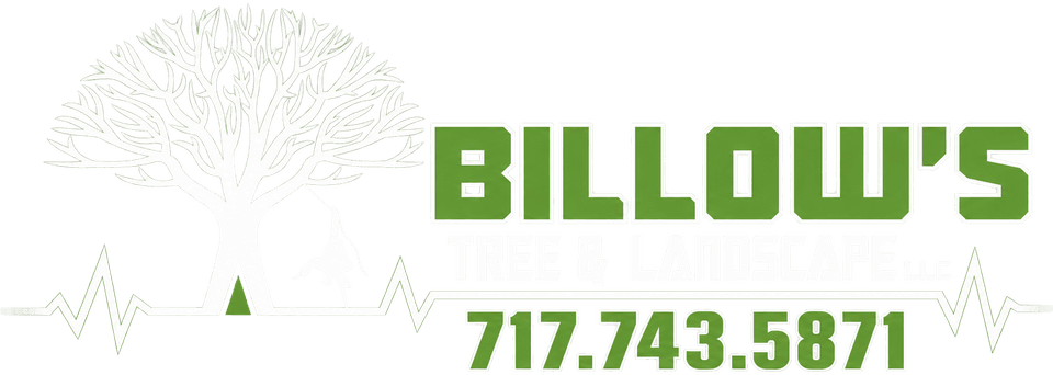 Billow's Tree & Landscape