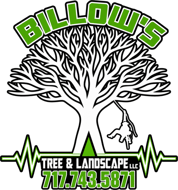 Billow's Tree & Landscape
